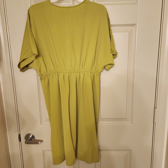 Batwing Rouched Dress - Picture 3 of 4